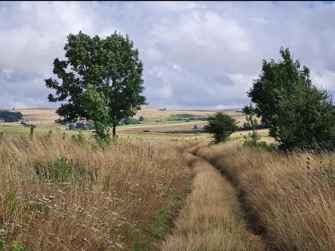 Maison La Vie De L'Aubrac - Gite Lo Bel Peis Saint-Symphorien-de-Thenieres Buitenkant foto